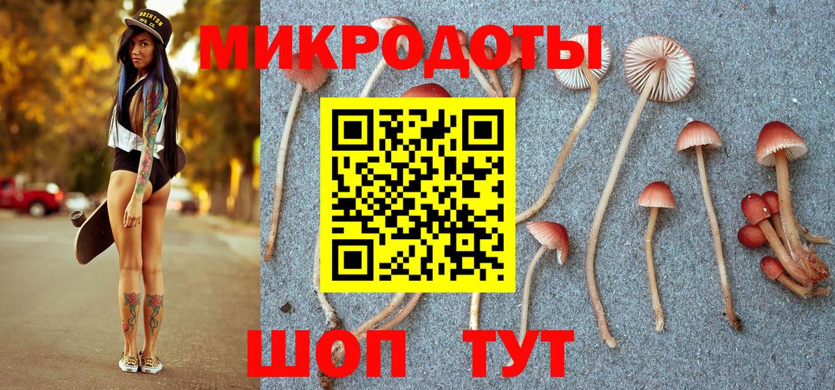 Псилоцибиновые грибы Psilocybe  Вход с VPN  Карпинск 